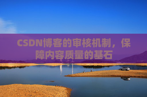 CSDN博客的审核机制，保障内容质量的基石