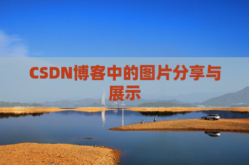 CSDN博客中的图片分享与展示